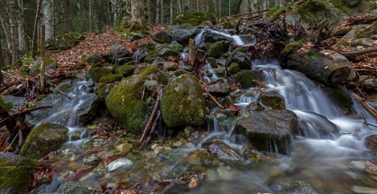 Водопад Шумка: короткий маршрут из Домбая, расстояние, подъём и особенности тропы.